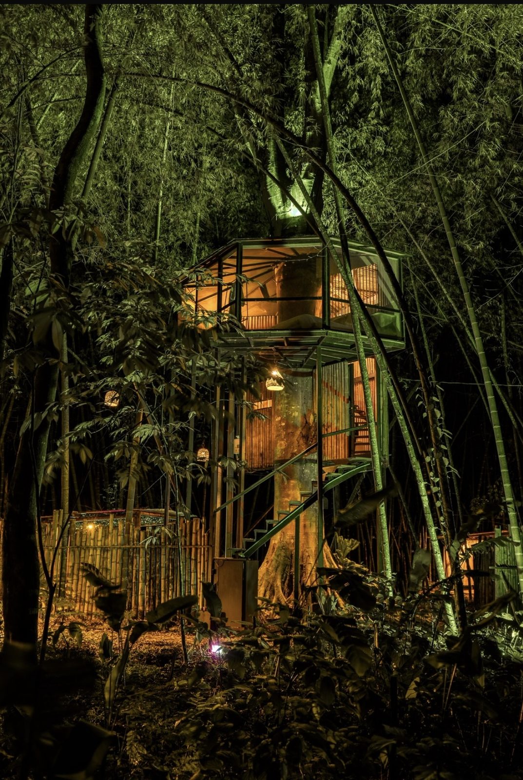 Casa en el Árbol