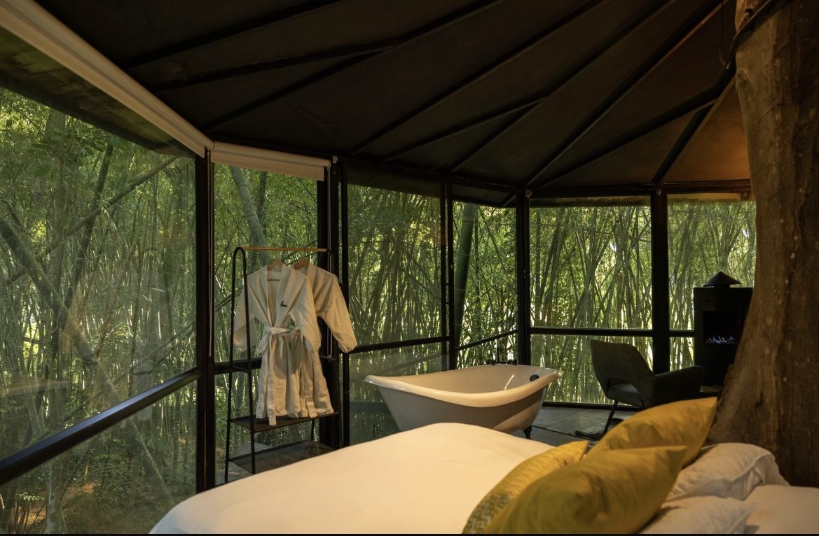 Casa en el Árbol