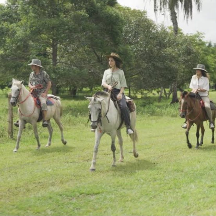 Cabalgata